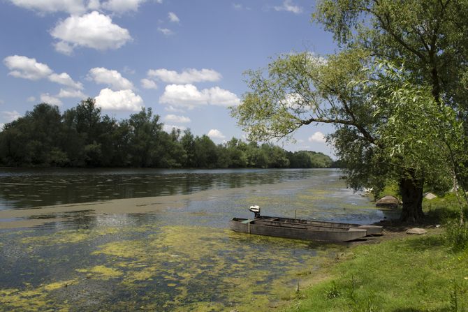 Reka, Bosut, Srem, Vojvodina Reka, Bosut, Srem, Vojvodina