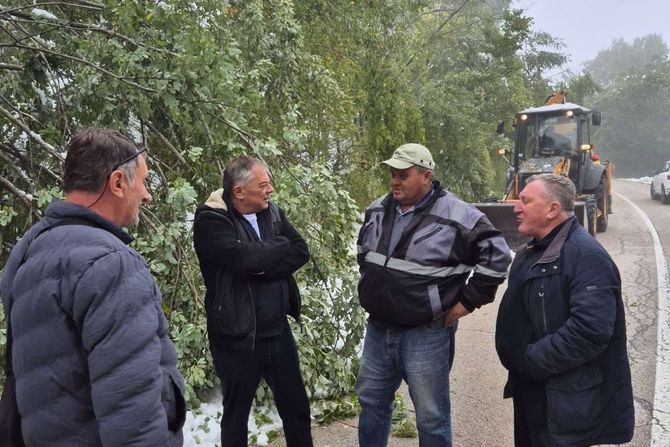 Crna Trava, Novica Tončev