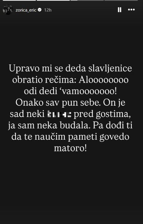 Zorica Erić Zorica Erić