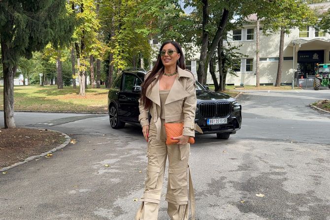 Ceca Ražnatović