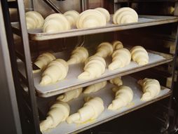 Pekara, testo , kiflice