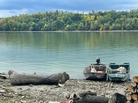 Dunav, utapanje, potraga, Bač Dunav, utapanje, potraga, Bač