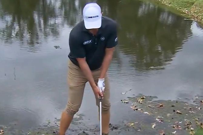 golfer, aligator