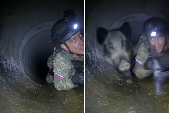 Svinja u tunelu sa ruskim vojnikom
