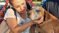 Žuća, tihi pas koji vidi srcem: Slepi ljubimac iz Brusa spasen iz azila i dobio novu šansu za život