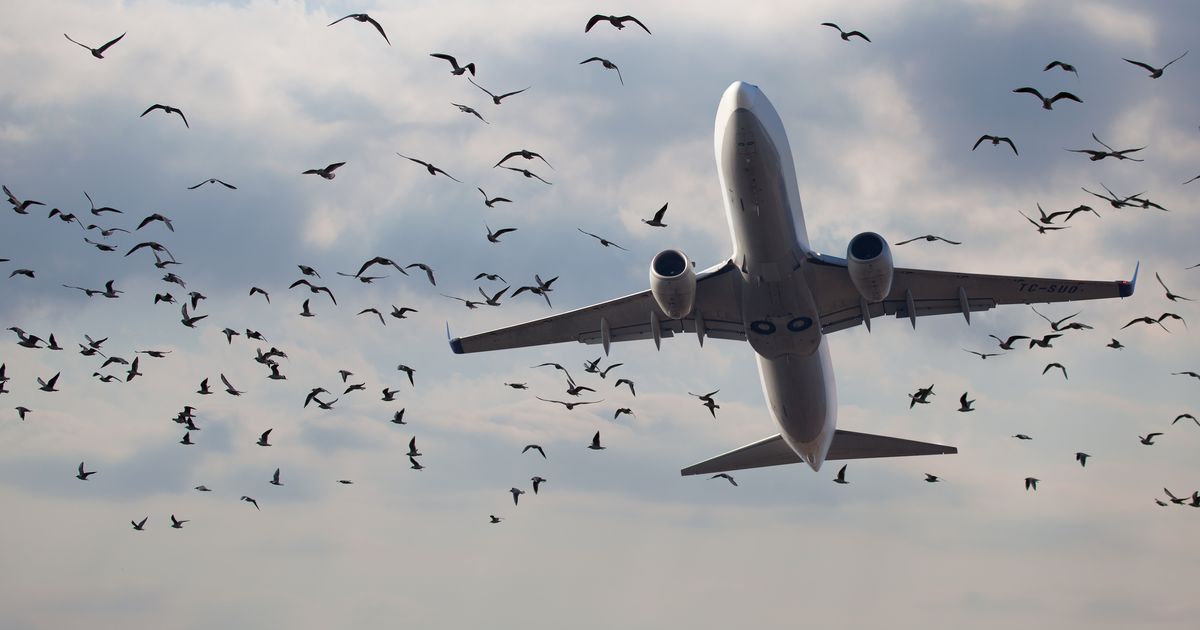 Primirje na Bliskom istoku je tek počelo: Koliko će trajati oporavak zaliha i cena mlaznog goriva?