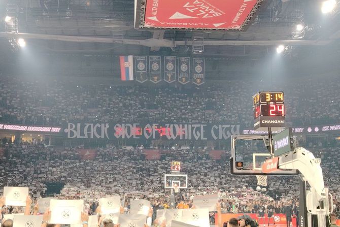 Grobari, KK Partizan, KK Efes, Evroliga