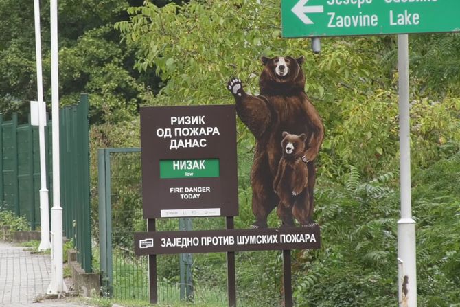 Elektronska naplata ulaza u NP Tara pravi tenzije u Bajinoj Bašti