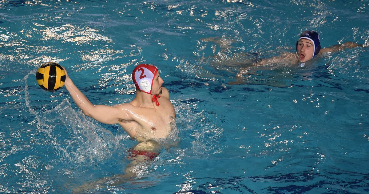 Zvezda dobila Partizan u Futogu, crveno-beli na korak do polufinala!