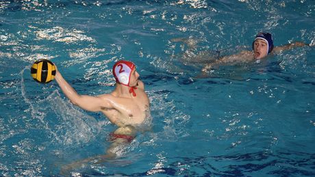 Veljko Tankosić - VK Crvena zvezda