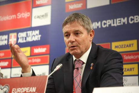 Srbija - Albanija, Konferencija Dragan Stojković Piksi
