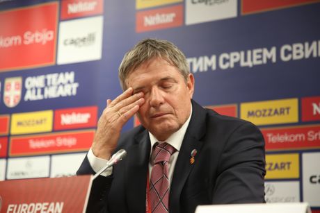 Srbija - Albanija, Konferencija Dragan Stojković Piksi