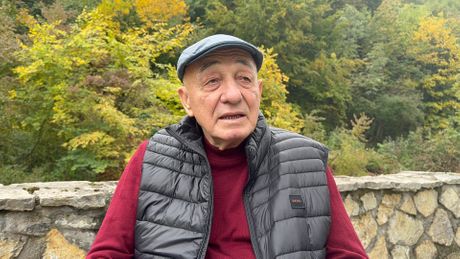 halid beslic, vlada, prijatelj halid beslic, vlada, prijatelj