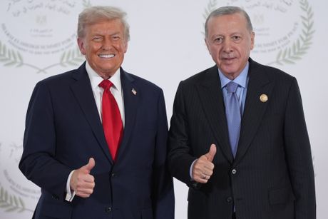 Donald Tramp, samit u Egiptu