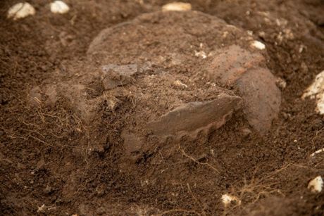 Arheološko otkriće, Crkvine Arheološko otkriće, Crkvine