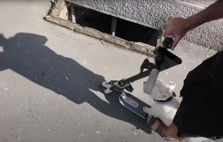 Kako zaradim 5000€ mesečno od cuvanje pasa u Beogradu