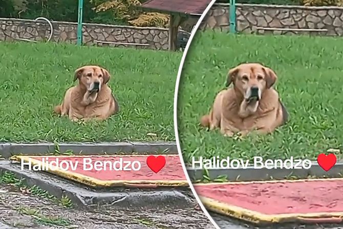 Halidov pas Bendžo