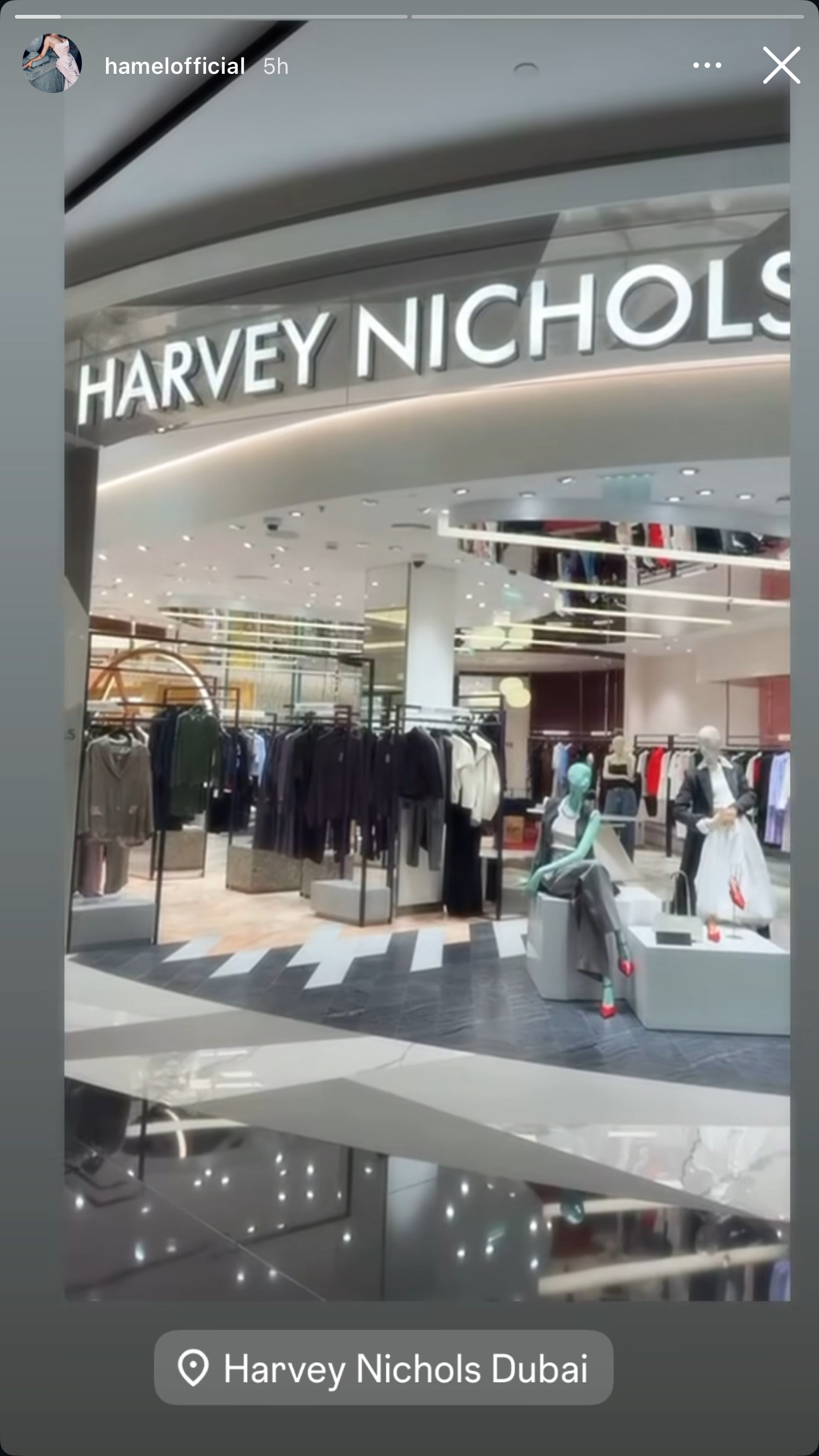 Melina Džinović, Melina Galić