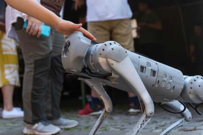 Robotski pas Robotski pas