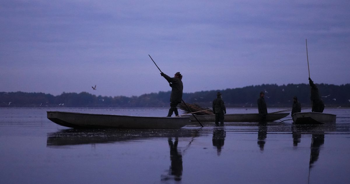 Važno obaveštenje za sve ribolovce u Srbiji: Zabranjen lov šarana u rekama i jezerima u ovom delu zemlje