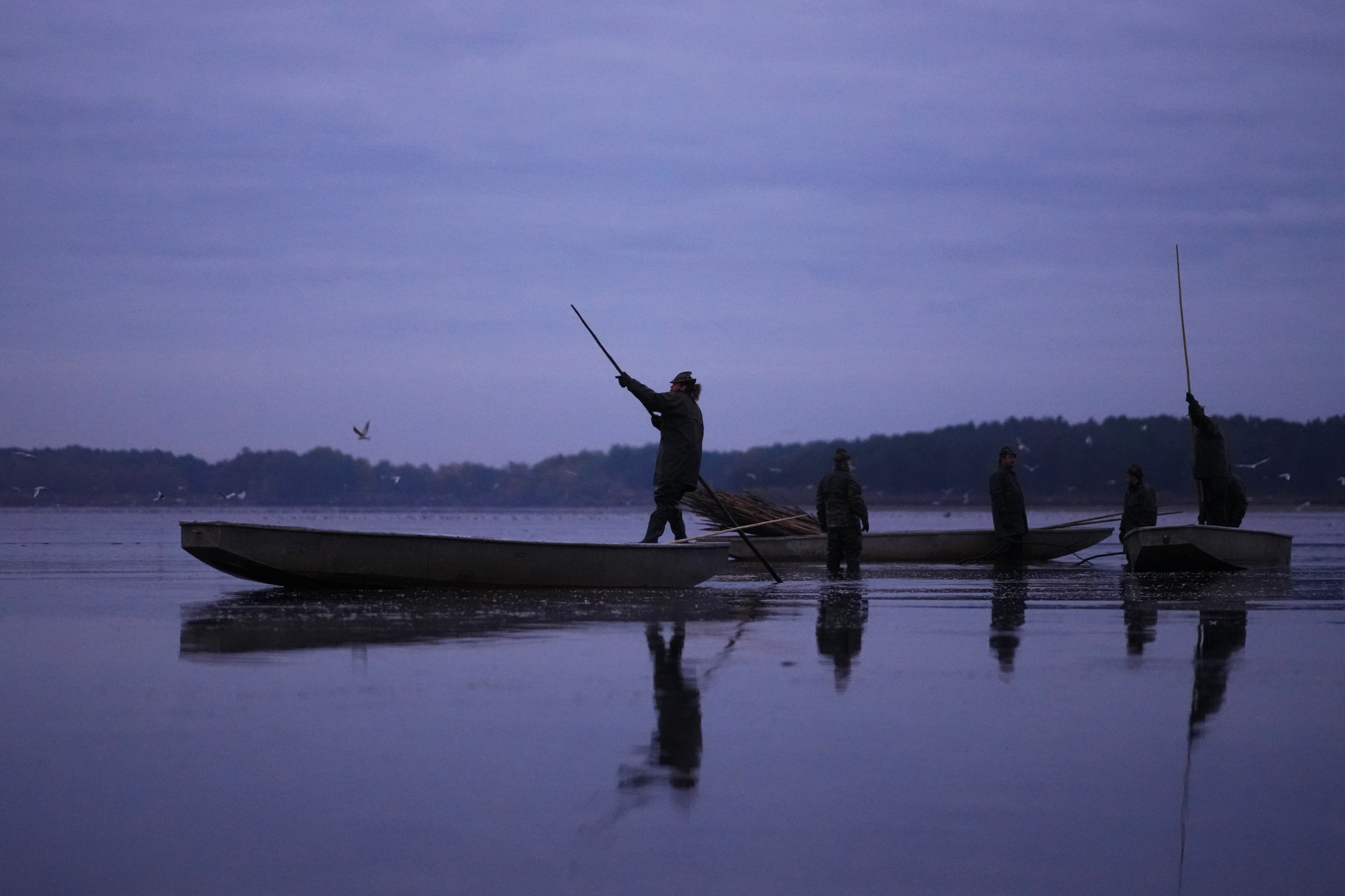 Važno obaveštenje za sve ribolovce u Srbiji: Zabranjen lov šarana u rekama i jezerima u ovom delu zemlje