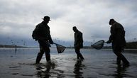 UHVAĆENO REČNO ČUDOVIŠTE: Neman od 118 kg zagrizla udicu, povukla 4 muškarca u vodu, nisu znali šta ih snašlo