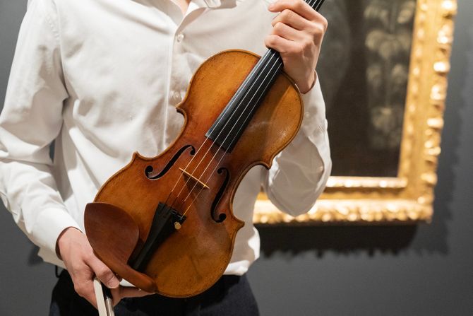 violina violina