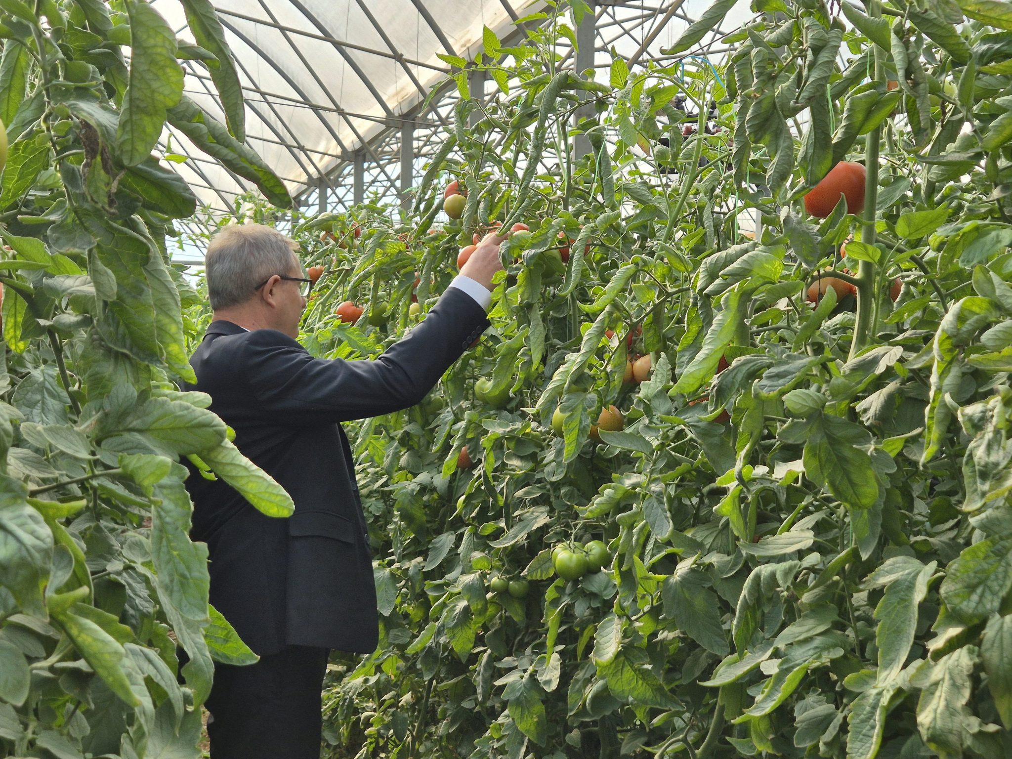Stojkovići imaju 60 plastenika: I ministar došao da vidi ono što rade na skoro 40 hektara, ređao pohvale