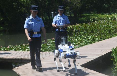 Kina pas robot Kina pas robot