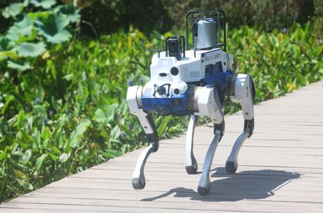 Kina pas robot Kina pas robot