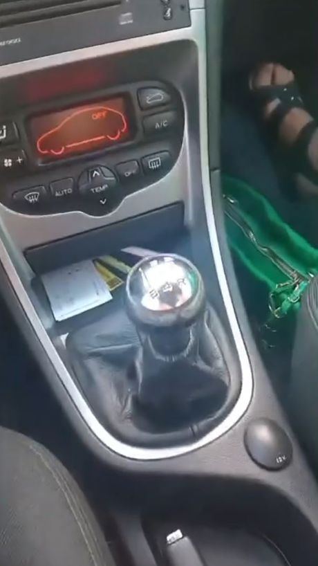 Magnet Leptokarija Magnet Leptokarija