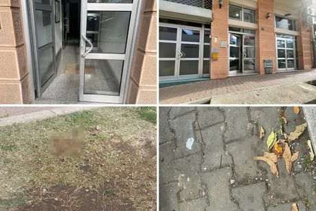 Telo bebe, Novi Sad Telo bebe, Novi Sad