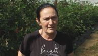Radosavljevići iz Kotraže voće umesto pod otvorenim nebom sada uzgajaju u plastenicima: To je pun pogodak