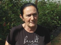 Iako je oktobar berači malina i kupina imaju pune ruke posla