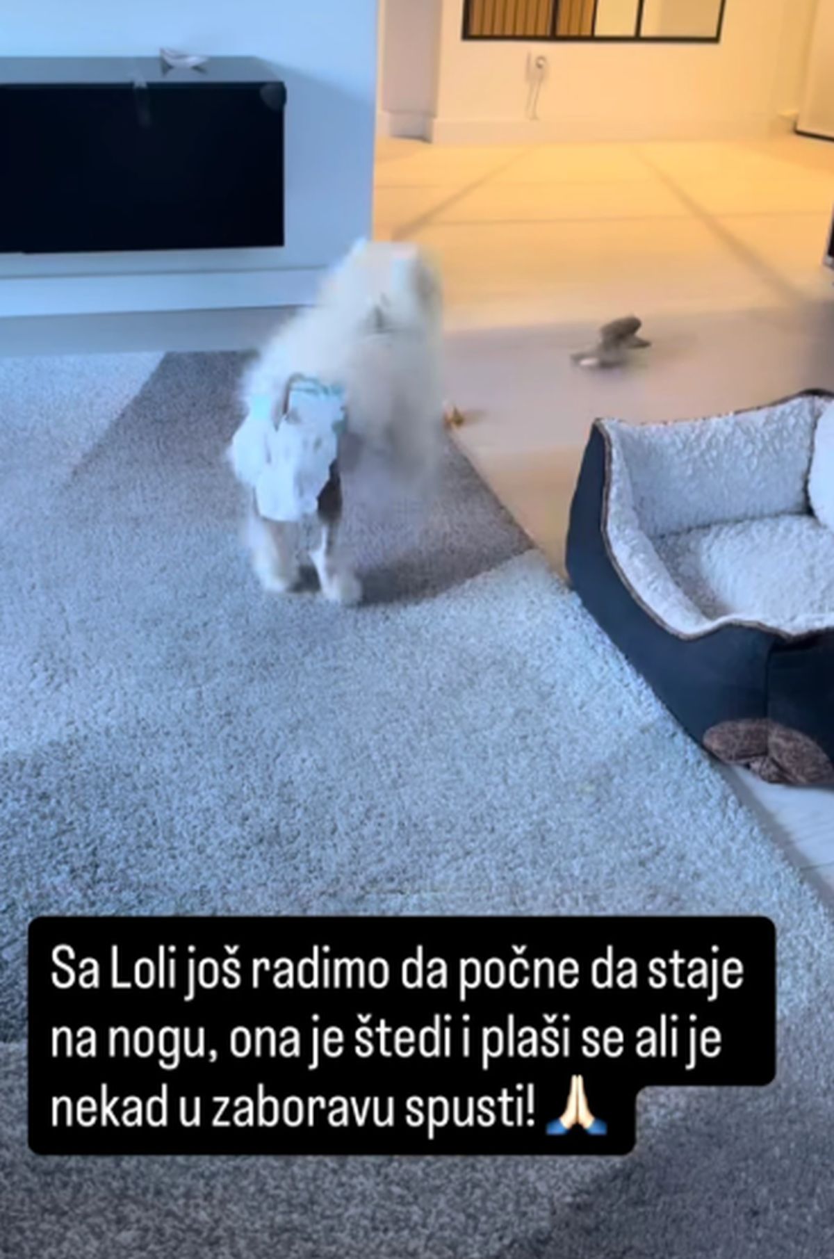 "Radimo još da stane na noge, imala operaciju kuka" Luna Đogani podelila s kakvim se problemom srela