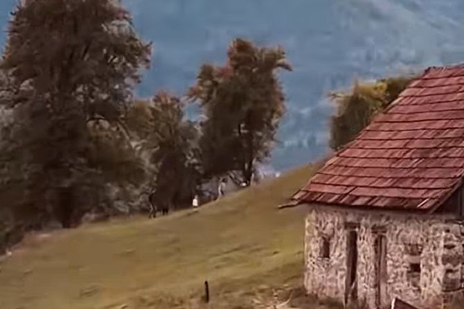 Detinjstvo, deca, livada, sreća, nostalgija