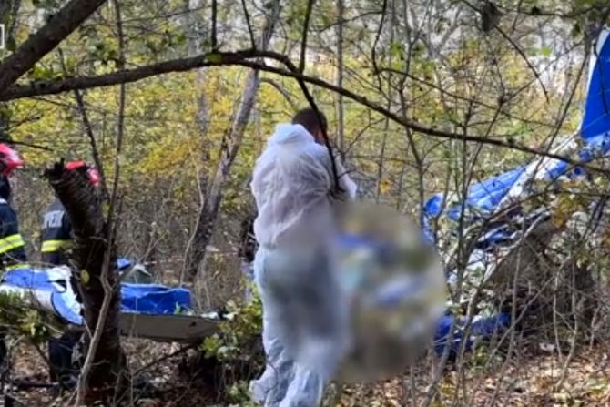 Joan Pavel, biznismen poginuo u padu aviona
