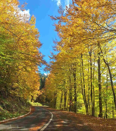 Nevesinje, put od mostara do nevesinja Nevesinje, put od mostara do nevesinja