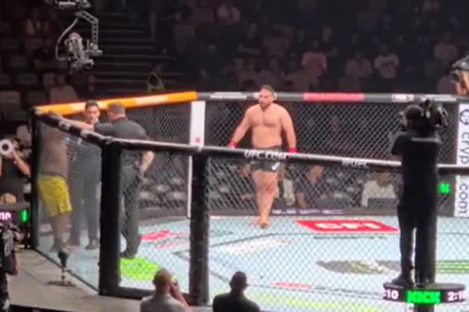 UFC 321, Hamdi potez UFC 321, Hamdi potez