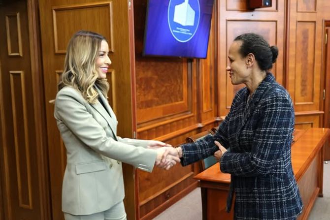 Adrijana Mesarović Adrijana Mesarović