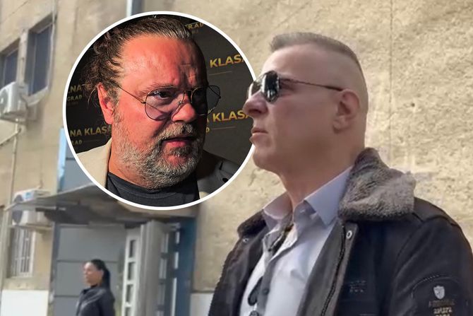 Đorđe David, Željko Šašić