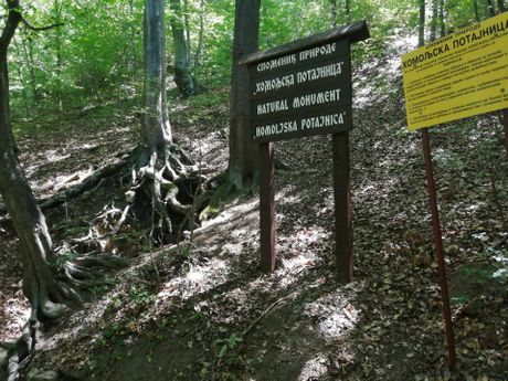 Homolje, Turistička organizacija Žagubica