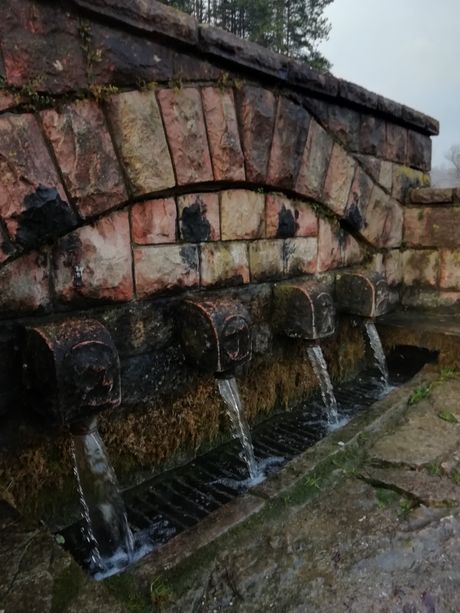 Homolje, Turistička organizacija Žagubica