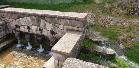 Homolje, Turistička organizacija Žagubica