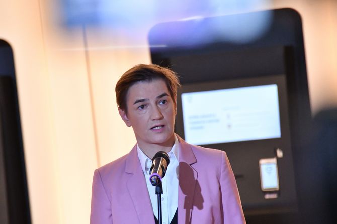 Ana Brnabić, TC Galerija