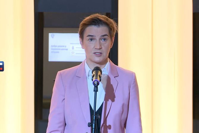 Ana Brnabić, TC Galerija