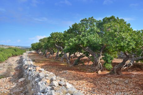 Hios, grčko ostrvo Hios Hios, grčko ostrvo Hios