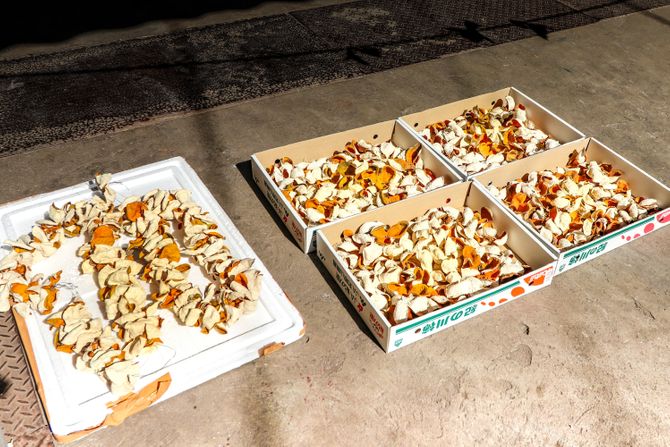 Kora mandarine, chenpi