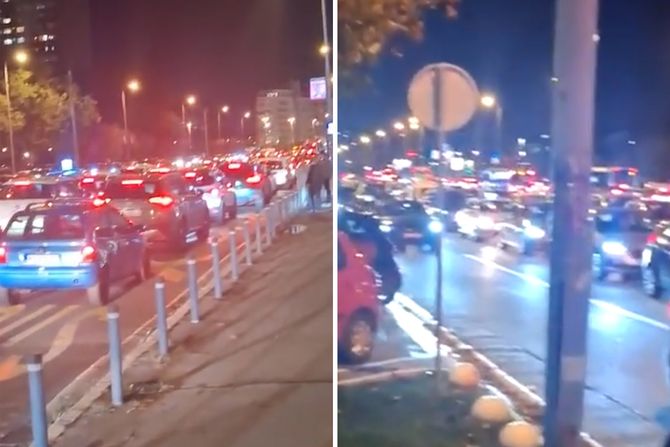 Gazela gužve Gazela gužve