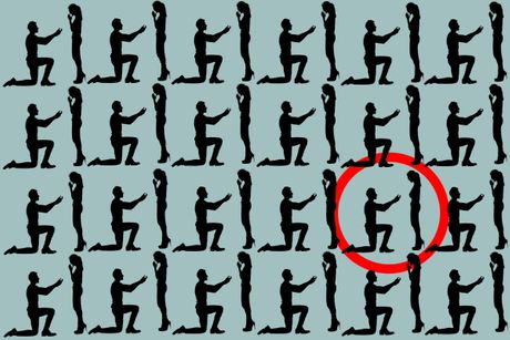 mozgalica, skrivalica